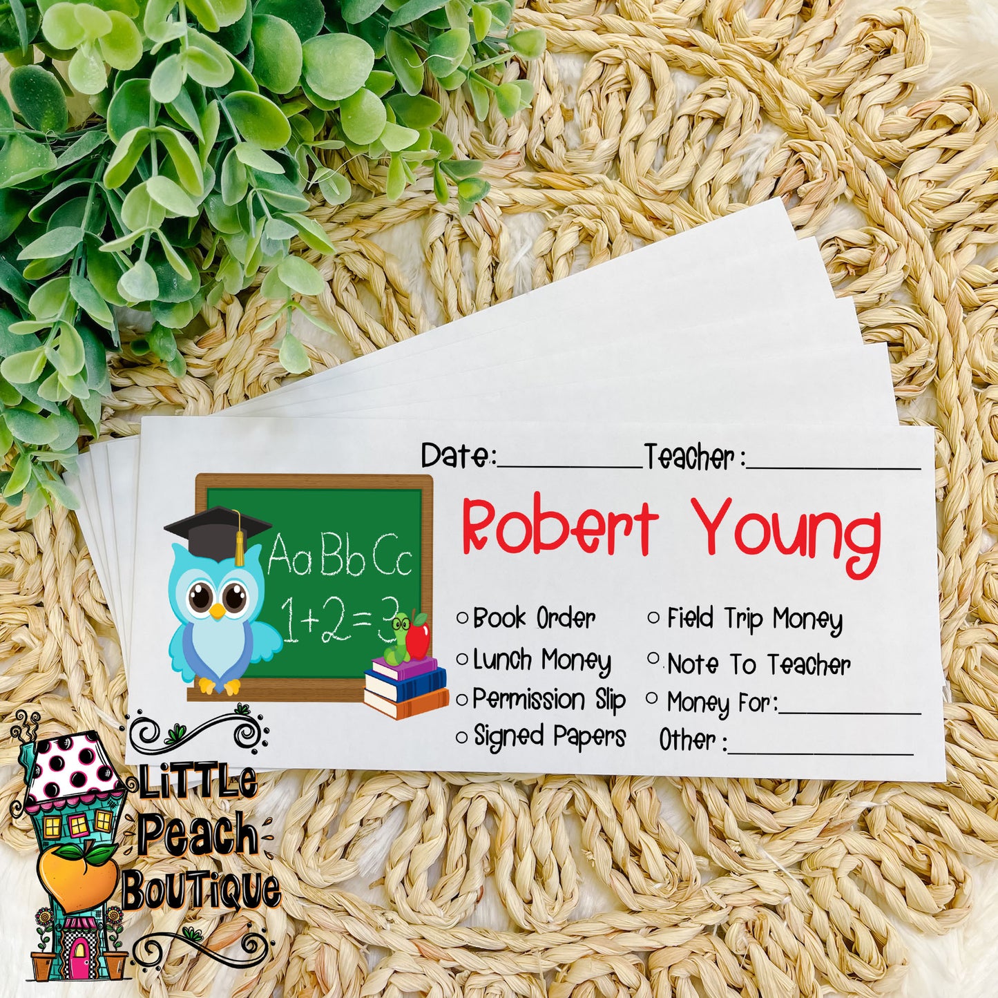 School Owl Personalized School Envelope Set